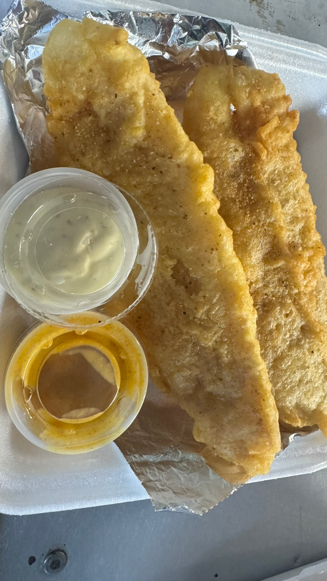 2 Fried Fish